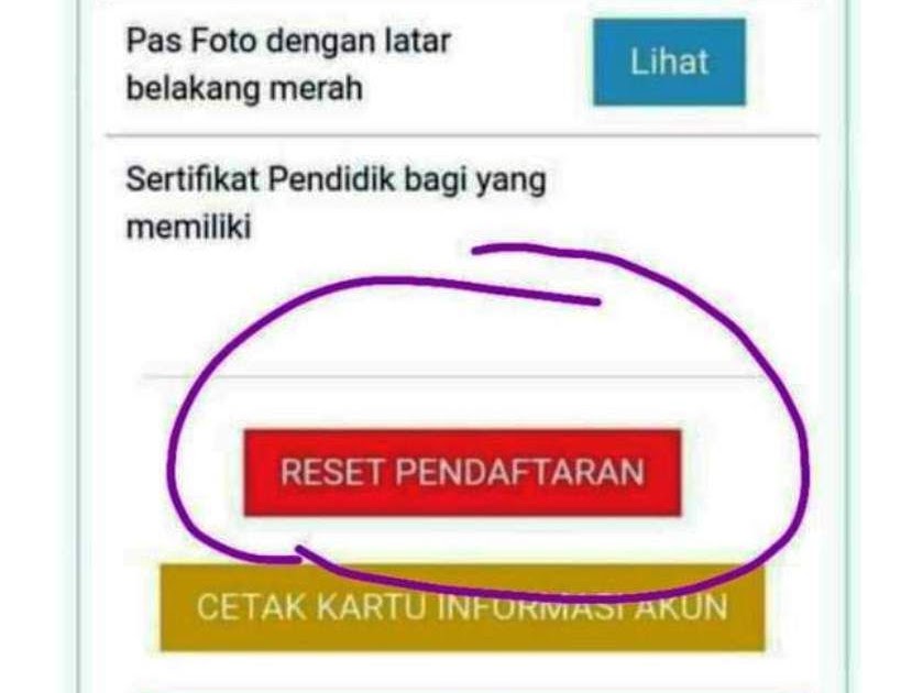 Lowongan Kerja Ingat Tombol Reset Pendaftaran CASN PPPK Cuma Bisa Digunakan Satu Kali  April 2024