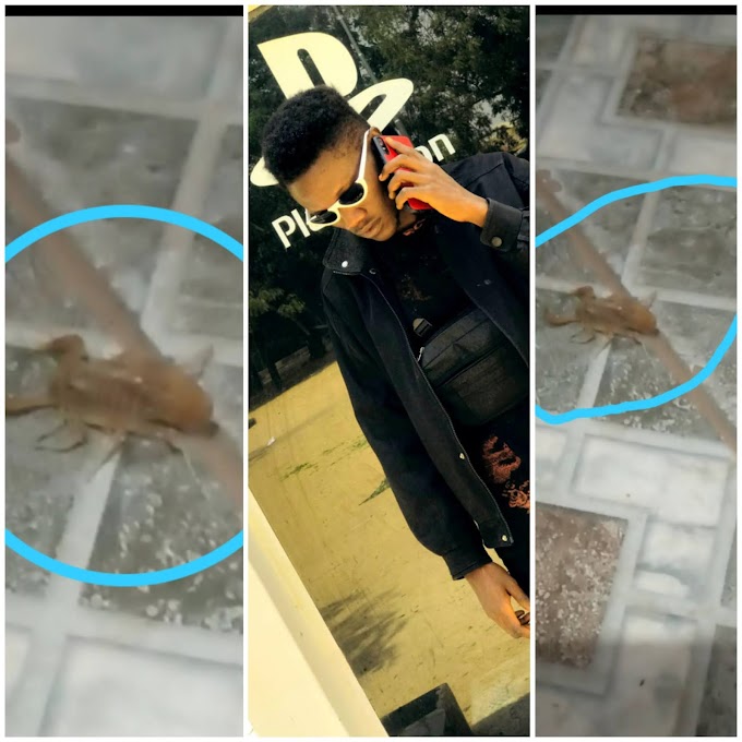 Reaction at Pepsi joint Unimaid when Bossboy killed a suspicious Scorpion inside his Cafe shop (See photo + Video)