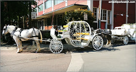 Caballos en Dallas, Texas