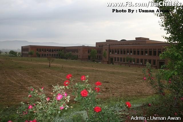 Red flowers in islamic university islamabad