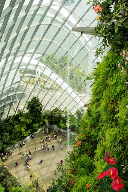 singapur, barvy, budovy, cestování, svět, gardens by the bay