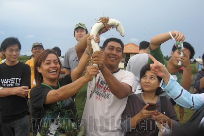 Peluang Budidaya dan Bisnis Ikan Sidat di Papua