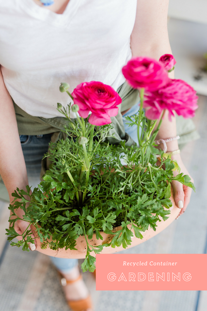 Planting spring annuals in recycled containers