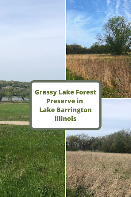 Hiking to a Spectacular View at Grassy Lake Forest Preserve in Lake Barrington, IL