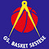 Basket Sestese, è di nuovo game time! 