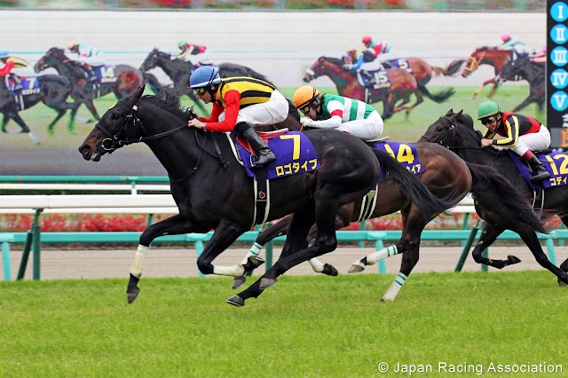 Il #weekend di galoppo: Giappone con #Tokyo #Yushun e Cristian #Demuro su #Logotype contro #Kizuna nel #Derby Giapponese. Poi Milano con le #Oaks, Irlanda con #Ghinee e #Camelot nella Gold Cup. Francia con #Saint-Alary e #Ispahan