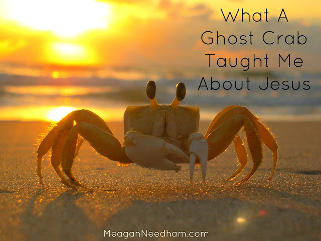 What a Ghost Crab Taught Me About Jesus