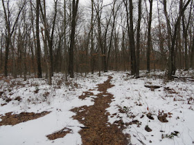 trail through snow