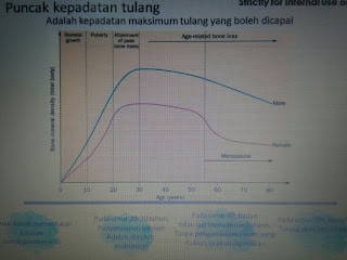 Kalsium, shaklee, magnesium, tulang, gigi, bayi, hamil