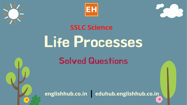 SSLC Science (EM): Life Processes | Solved Questions