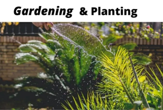 I will write SEO blog articles about gardening or indoor plant for you