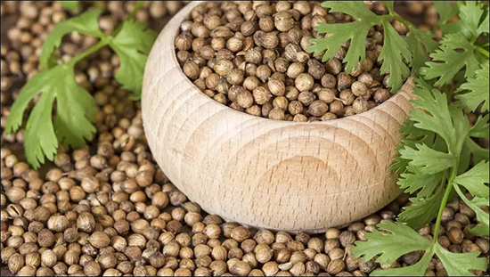 coriander, ayurvedic properties, health benefits, medicinal uses, dosage