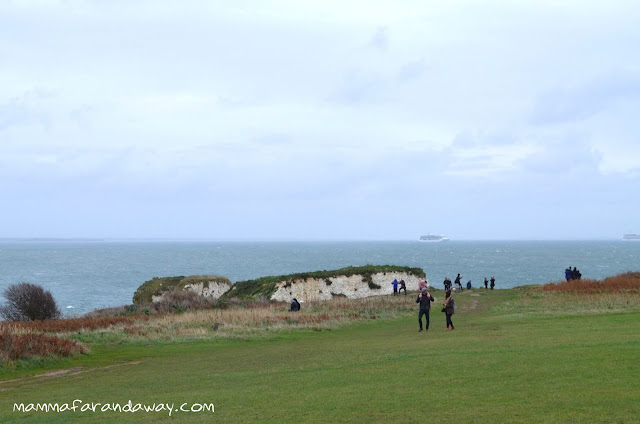 Prato Old Harry Rocks