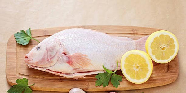 Amazing Benefits of Fish Meat and Oil - Health-Teachers