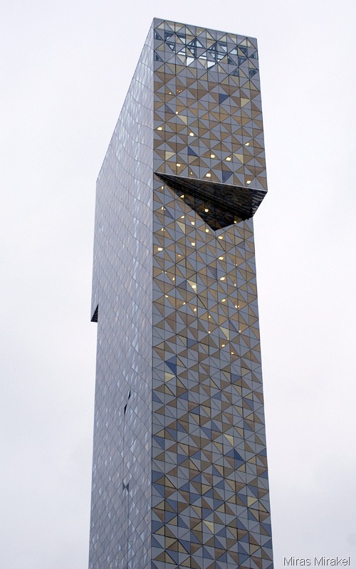 _DSC0517vt