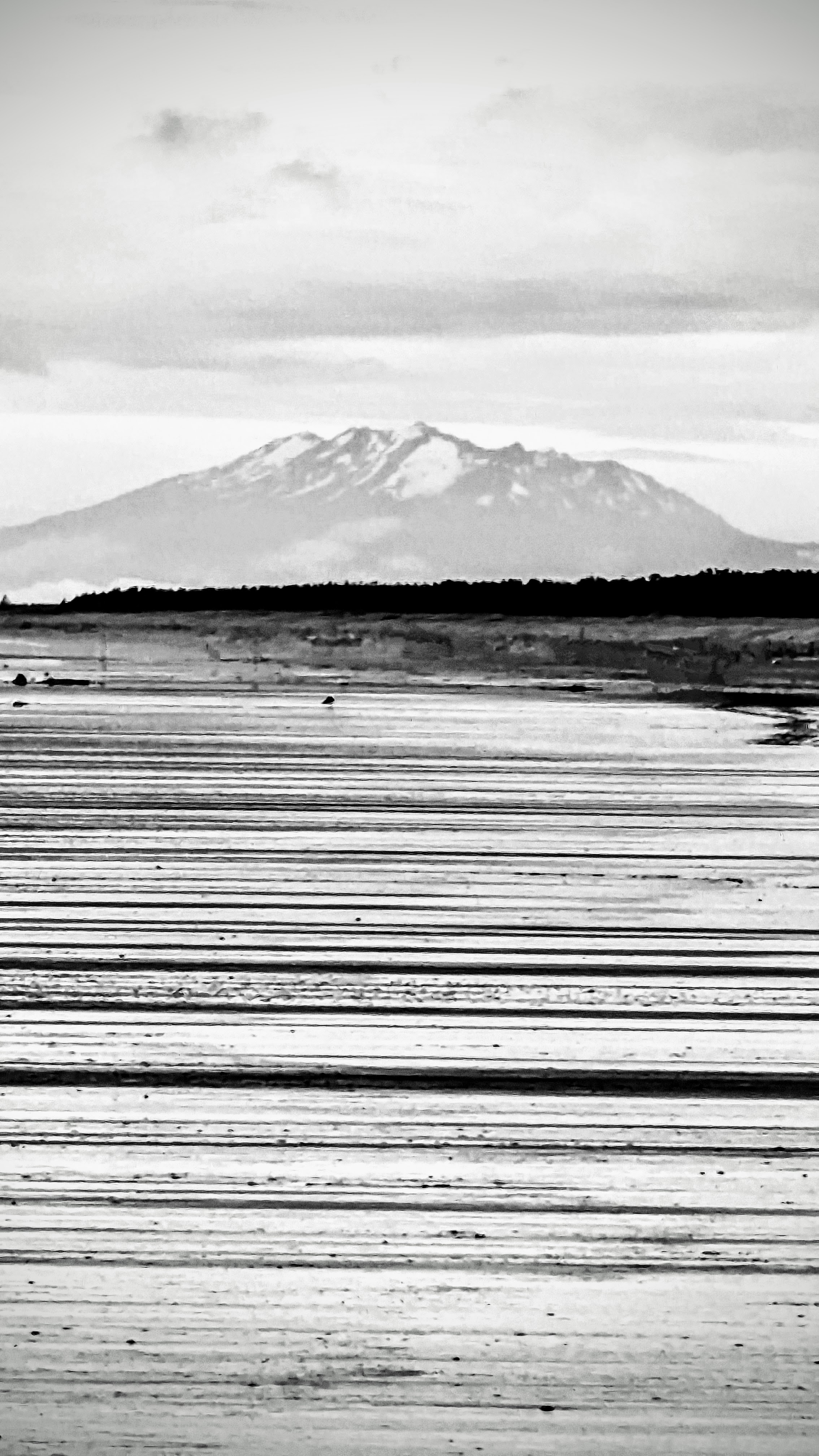 Black and white version of a photograph showing a beach in the foreground and a large snow topped volcano in the distance.