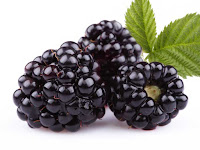 blackberry - une mûre - Rosaceae