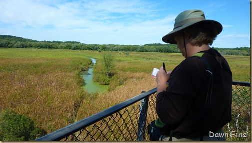 Great meadows with Kathie_007