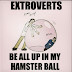 Extroverts In My Hamster Ball