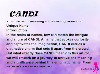 meaning of the name "CANDI"