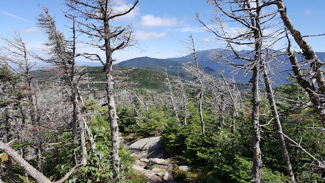 Vue à partir du sentier pour le mont Cannon