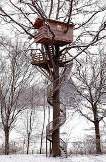 Unbelievable Tree Houses built by Tree: 10 Tree House Pictures
