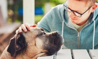 The Health and Mood-Boosting Benefits of Pets!