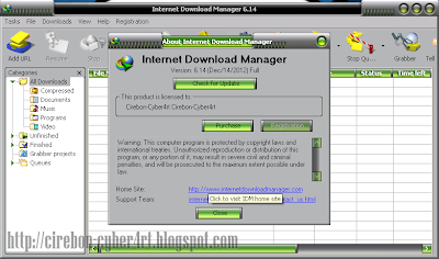 Internet Download Manager 6.14 Final Full Patch