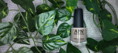 APN Always Perfect Nails Nail Polish in Naughty Nights