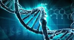  Το ανθρώπινο DNA είναι ένα βιολογικό Internet και σε πολλές ανώτερες πτυχές τεχνητό. Η τελευταία Ρωσική επιστημονική έρευνα, άμεσα ή έμμεσα...