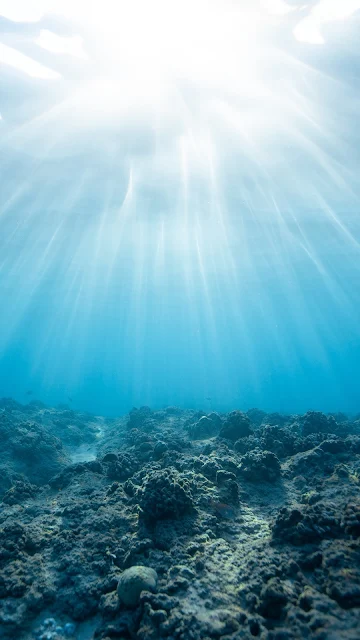 Underwater, Rays, Light, Ocean, Corals Wallpaper