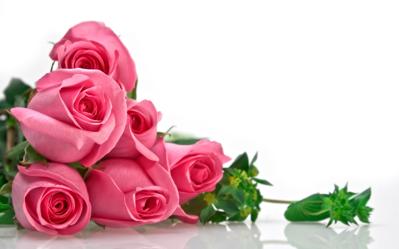 Romantic love rose wallpaper,most romantic love photo.so nice love ...