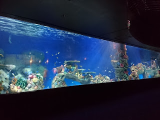  Manila Ocean Park's Lost Atlantis