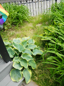 Leslieville Toronto Summer Garden Cleanup Before by Paul Jung Gardening Services--a Toronto Organic Gardening Services Company