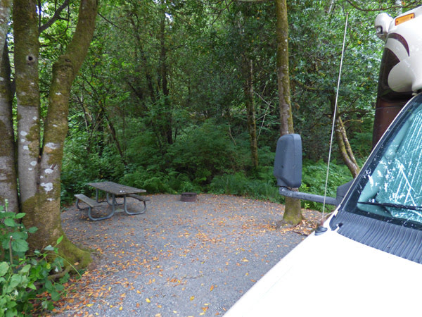 Site 11, Alfred Loeb State Park