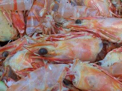 prawn heads, tails and other scraps left over from a seafood meal