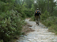 Caminant sota la Carena dels Casuts