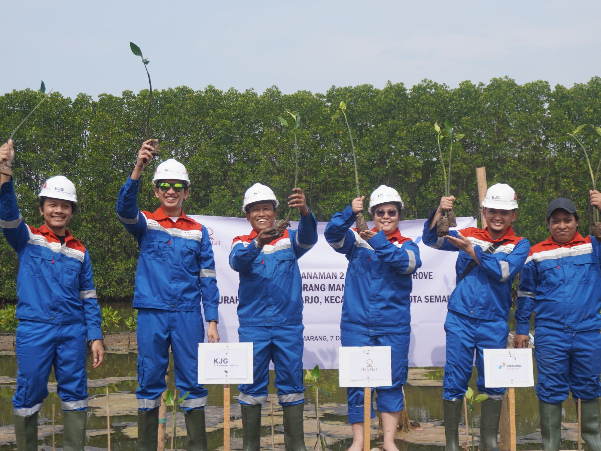IKAMaT Lakukan Pendampingan Penanaman dan Pemantauan 2.575 Bibit Mangrove kepada PT Kalimantan Jawa Gas di Semarang Mangrove Center