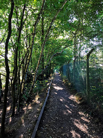 Railside path.  Walk around the Hawkwood Estate 11, 30 August 2016.