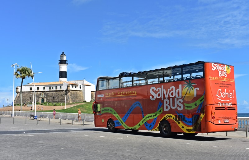 Salvador Bus, informações e valores