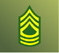 master sergeant badge-mini militia aka Doodle army 2