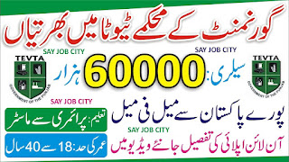 TEVTA Punjab Jobs 2023 - Get Application Form at www.tevta.gop.pk