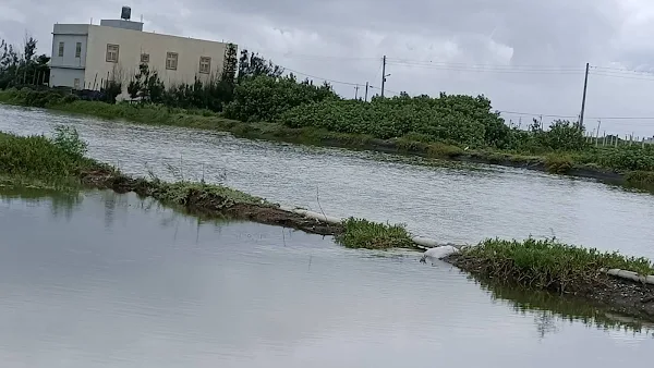 彰化豪大雨紛傳農損災情 王惠美籲中央從寬快速補助