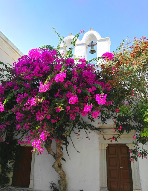 bougainvillier chapelle parikia