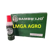 Bambu Ijo ZPT,bambu ijo,zpt,zat pengatur tumbuh,tanaman,lmga agro