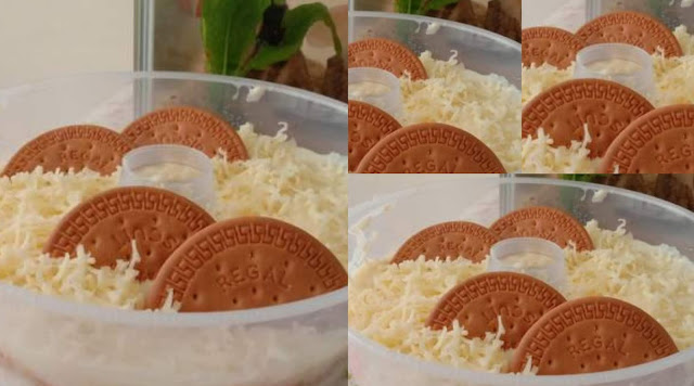 Regal cheesecake by Pipit Maulana  Aneka Tips Memasak