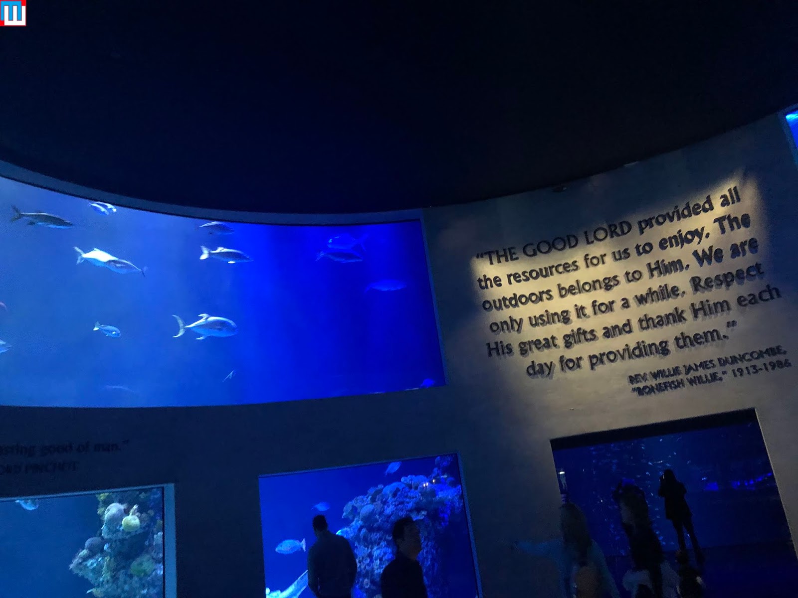 MidwestInfoGuide: Wonders of Wildlife Aquarium - IMG 6745