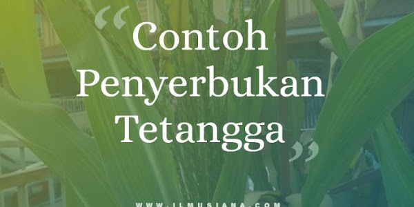 5+ Contoh Bunga Penyerbukan Tetangga