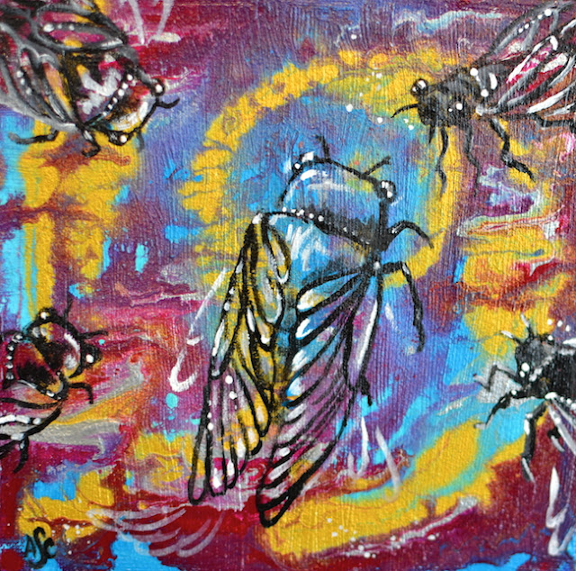 Cicada Dance ©Amanda Shelton www.amandachristineshelton.com