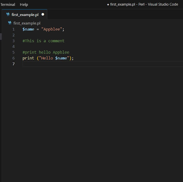 example for comment in Perl